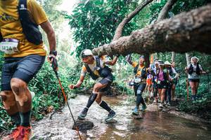 BIB: 
                            <button type="button" onclick="openModal(25370431)" class="btn btn-primary btn-sm float-right btn-popup" data-toggle="modal" data-target=".modal-high-quality">
                        <i class="fas fa-shopping-cart"></i> Add to Cart
                    </button>
                                            <button type="button" onclick="isThisMe(25370431, true)" class="btn btn-success btn-sm float-right btn-popup btn-isme hidden" data-toggle="tooltip" data-placement="bottom" title="นี่คือรูปของคุณใช่ไหม คลิกที่นี่เพื่อเอาเข้าอัลบั้ม">
                        <i class="fas fa-plus"></i> Add to album
                    </button>
                    <button type="button" onclick="isThisMe(25370431, false)" class="btn btn-warning btn-sm float-right btn-popup btn-isnotme hidden">
                        <i class="fas fa-ban"></i> Remove from album
                    </button>